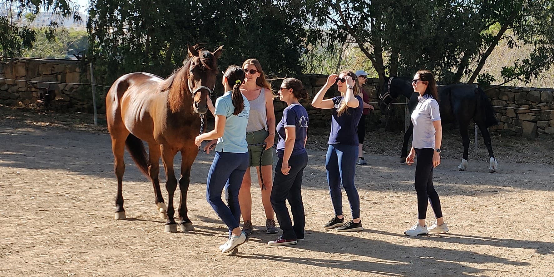 Core Principles of Equine Assisted Services