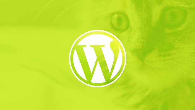 WordPress for Beginners: Create a Website Step by Step