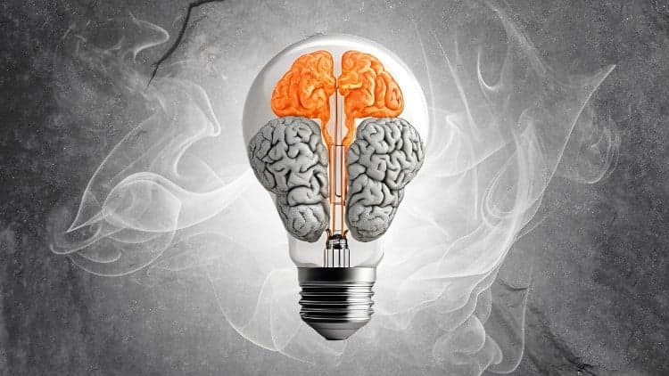 CBT Practitioner Course (Cognitive Behavioral Therapy)