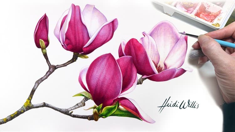 Paint Realistic Watercolour and Botanicals - MAGNOLIAS
