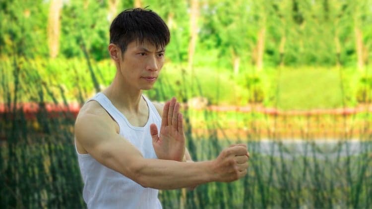 Learn Wing Chun Sil Lim Tao At Home FREE! With David Wong