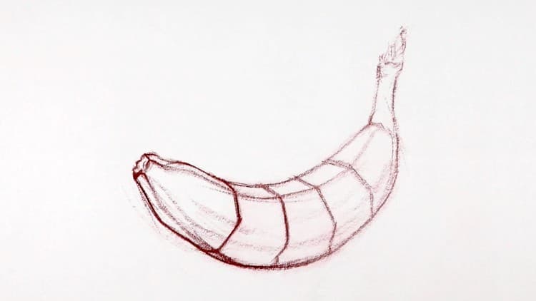 The Art & Science of Drawing / CONTOURS