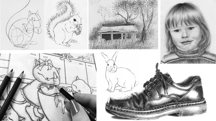 The Complete Beginners Drawing and Shading Course