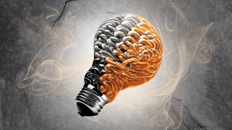 Neuro-Linguistic Programming Master Practitioner (Advanced)
