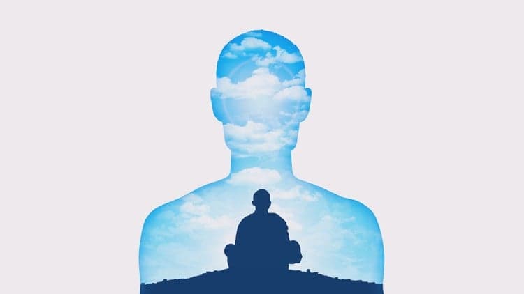 Journey to the Soul