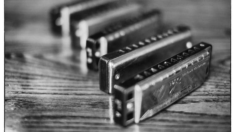 30 day challenge - learn to play the harmonica in one month!