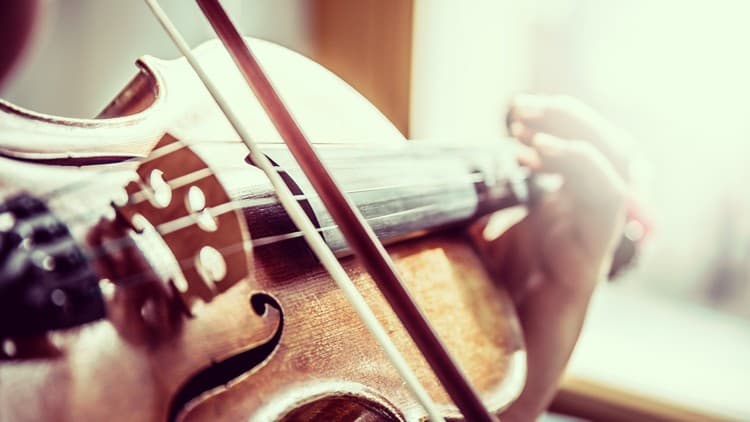 Violin Karate: Beginner to Black Belt