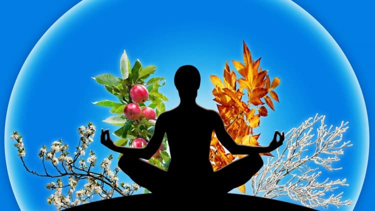 Essential Energy Care for Empaths