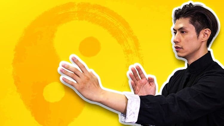 Wing Chun Techniques and Applications - Martial Art Moves