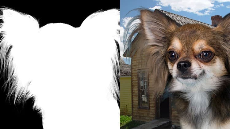 Fotomontajes con Photoshop