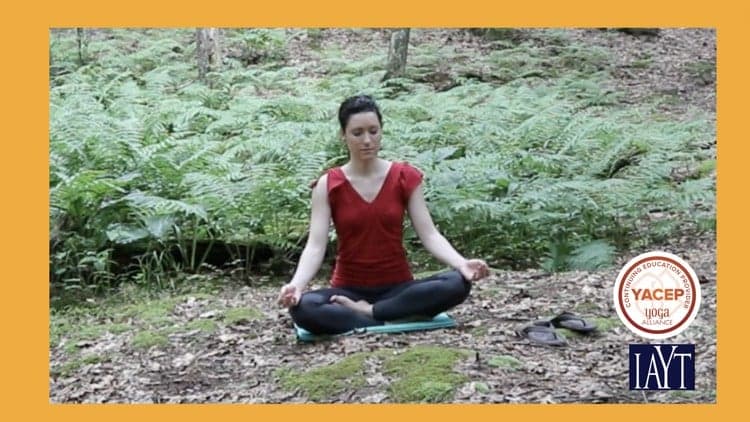 Foundation Skills for a Successful Meditation Practice