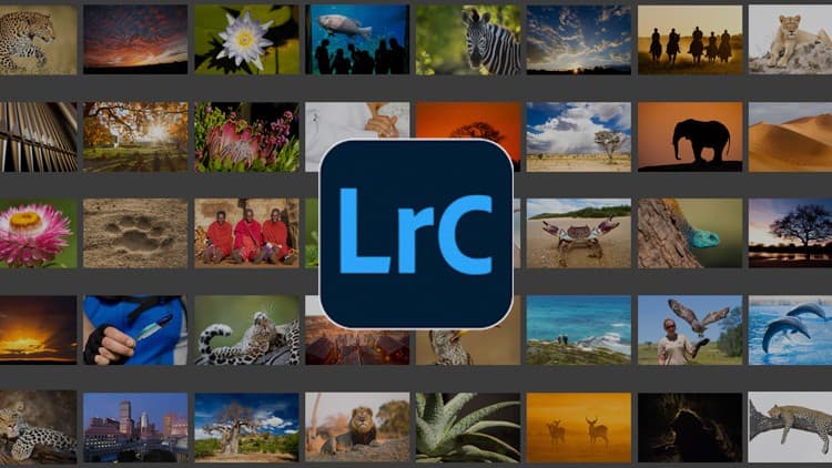 Adobe Lightroom Classic - Beginner Level