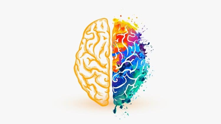Beginners Certification in Color Psychology