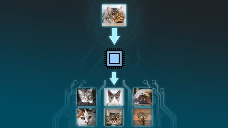 Amazing AI: Reverse Image Search