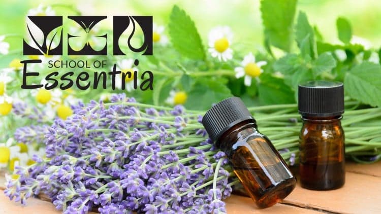 Introduction to Essential Oils