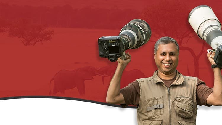 Masterclass: Ultimate Field Guide to Wildlife Photography