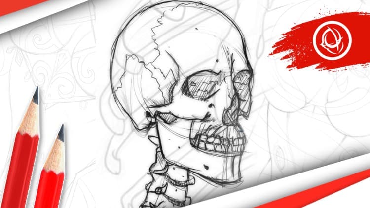 Anatomy Art School: Drawing the Human Form