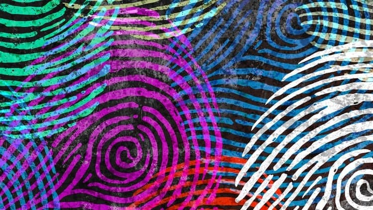 Diversity & Inclusion: Building a Grassroots Foundation