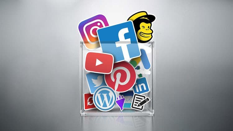 VIP Digital Marketing Master Course : 31 Courses in 1