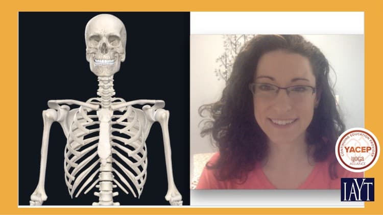Foundations in Yoga Anatomy: 1 Language of Motion, Skeleton