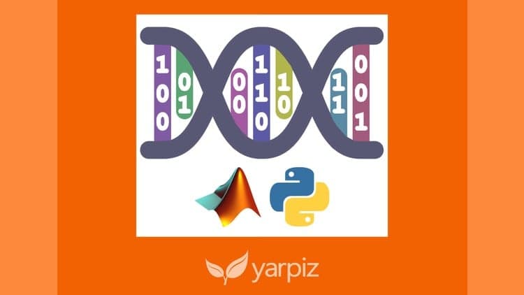 Genetic Algorithms in Python and MATLAB