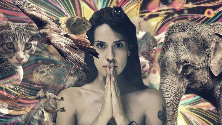 As bases do Xamanismo Natureza Espiritual