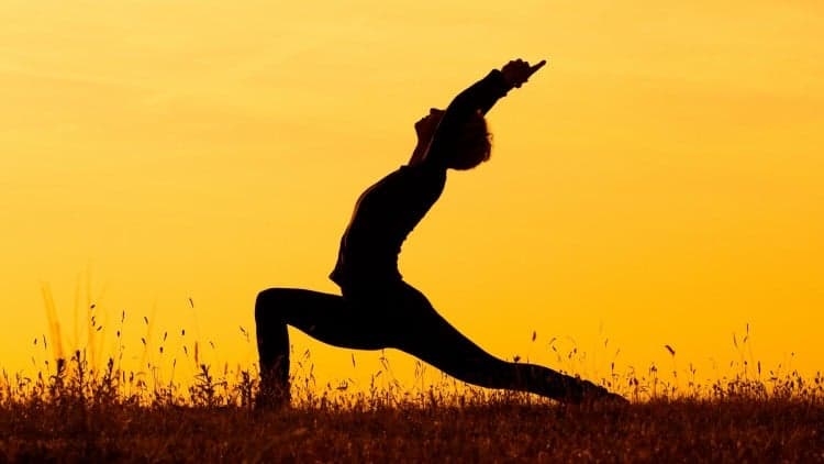 Posturecise - 21 Healthy Posture Habits for Life