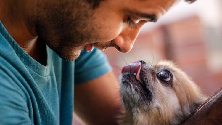 Animal Communication Mastery: Learn The Sentient Way