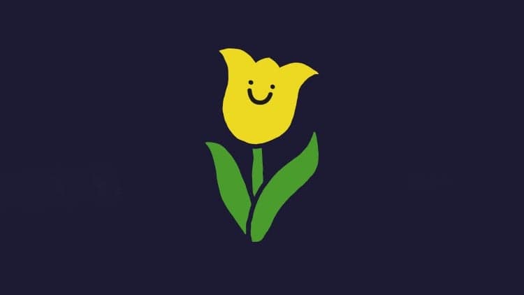 Storytelling for Yellow Tulip Project