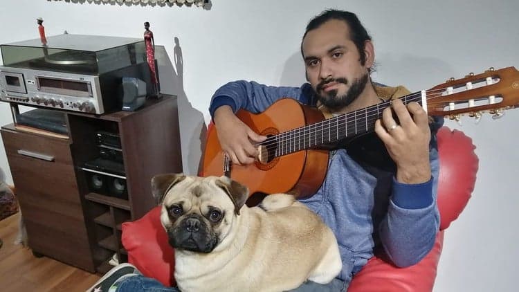 Guitarra para principiantes