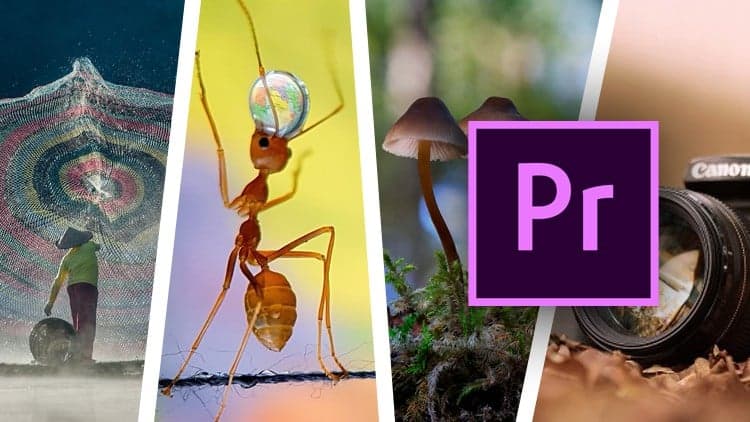 Edición de video con Adobe Premiere Pro - Primera parte