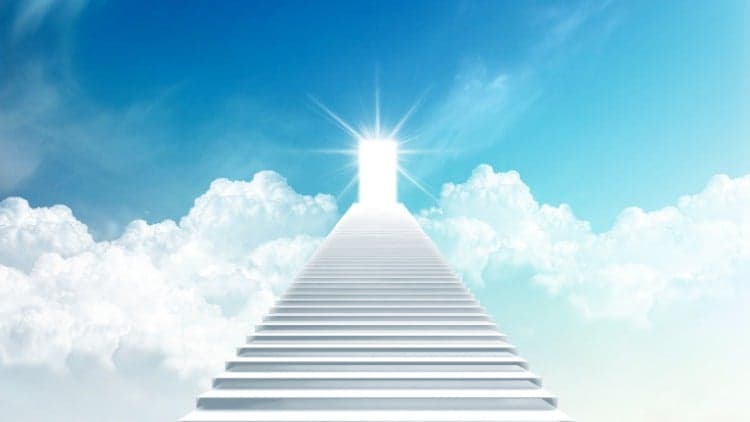 Raja Yoga Level II - The 7 Levels of Raja Yoga