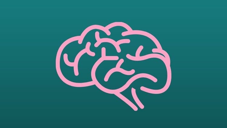 Accelerated BluePrint For Stress Free Mind Disease Free Body