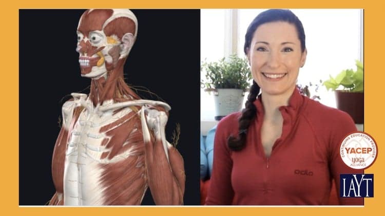 "Anatomy of Yoga" 1: Teacher Training Workshop Series
