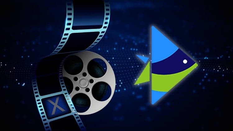 Create Fast, High-Quality, Video Content Using InVideo