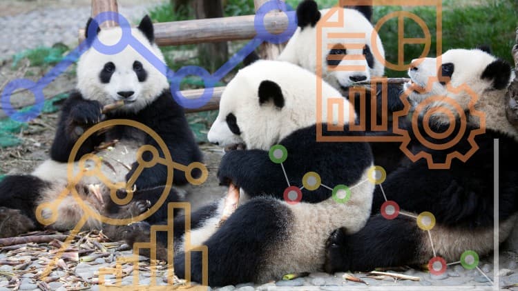 Python Pandas For Your Grandpa