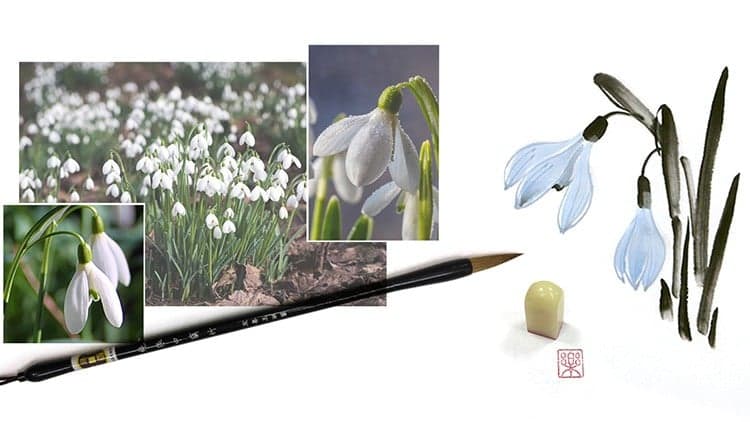 Snowdrop Flower in classical Chinese Painting