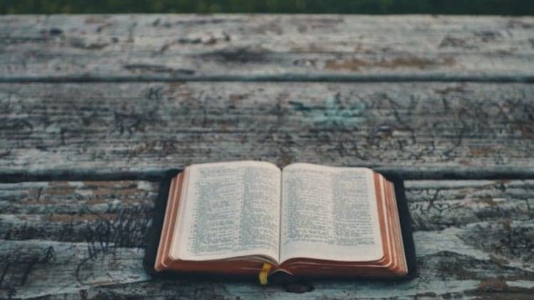 How to Preach and Teach the Bible