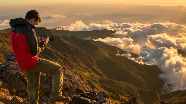 Filmmaking for wildlife and environmental conservation