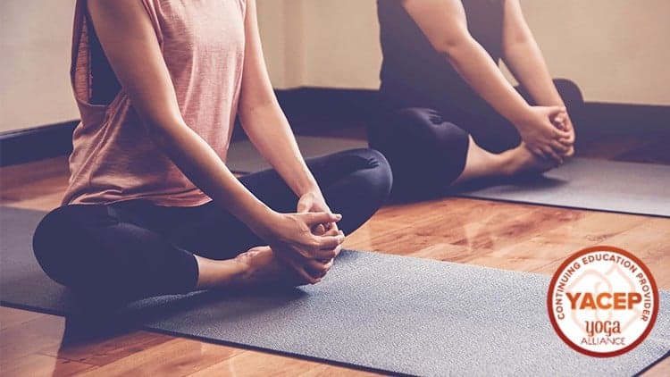 Yin Yoga Teacher Training Certificate Course