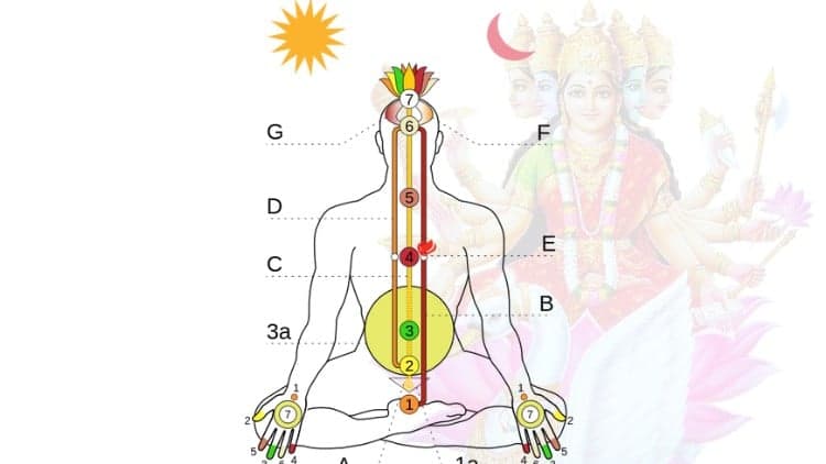 Gayatri Mantra : Vedic Chanting, Chakra & Energy Healing