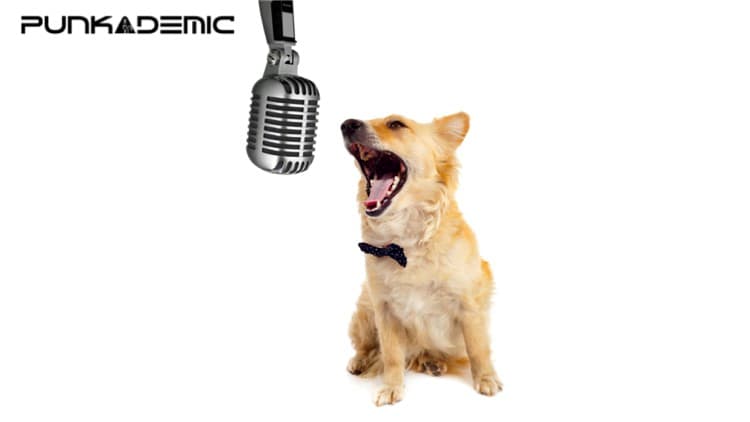 Ear Training & Aural Skills, Part 1: Rhythms