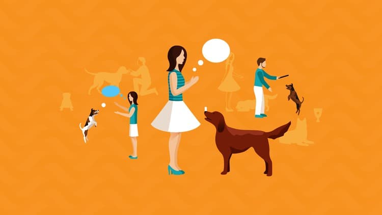 Reliability and Games 2-Day Dog Training Workshop