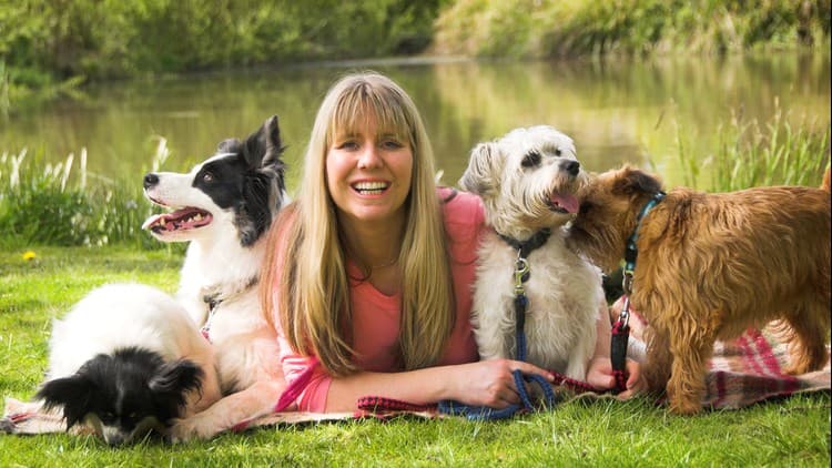 Become a Dog Trainer: Turn Your Passion Into Paid Work