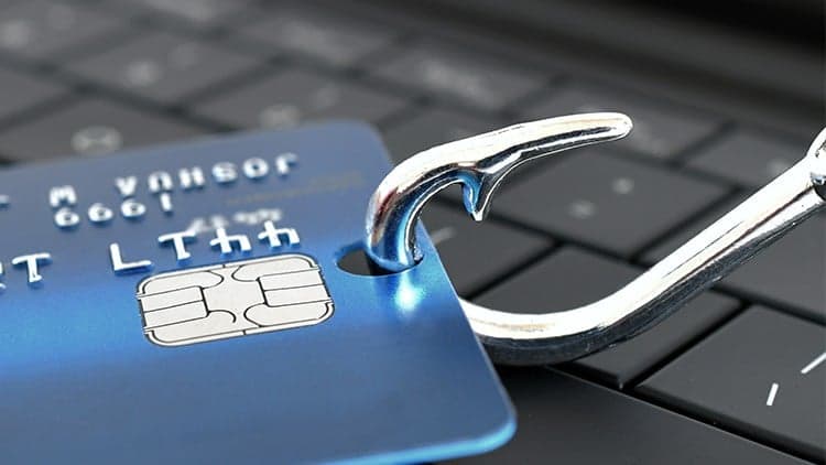 How to Identify and Combat Spam and Phishing Emails