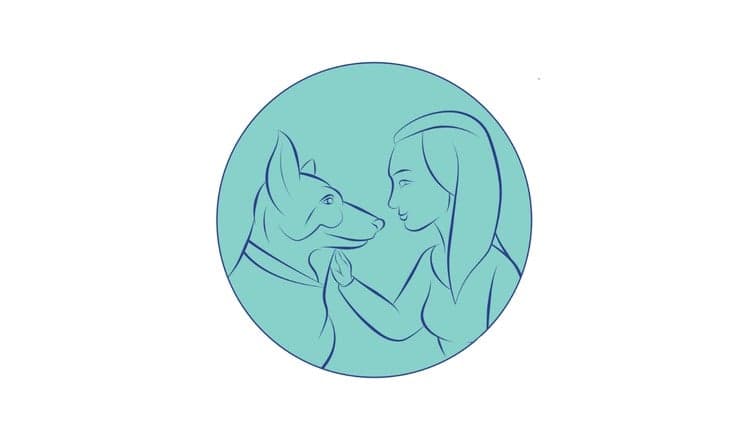 Canine Calm Walks - Become a Trained Dog Walker