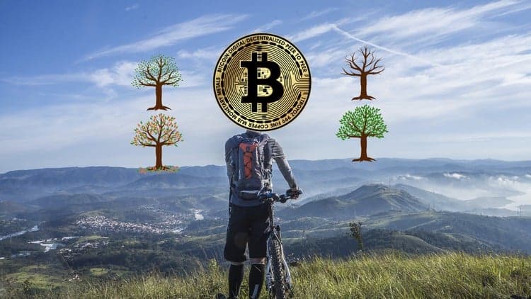 Using the Bitcoin Cycle for Financial Freedom & Retirement