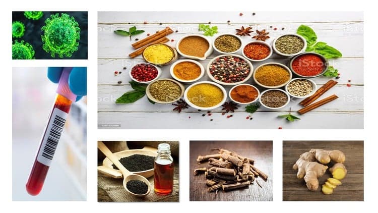 Herbs for Covid-19 : successful clinical trials on patients