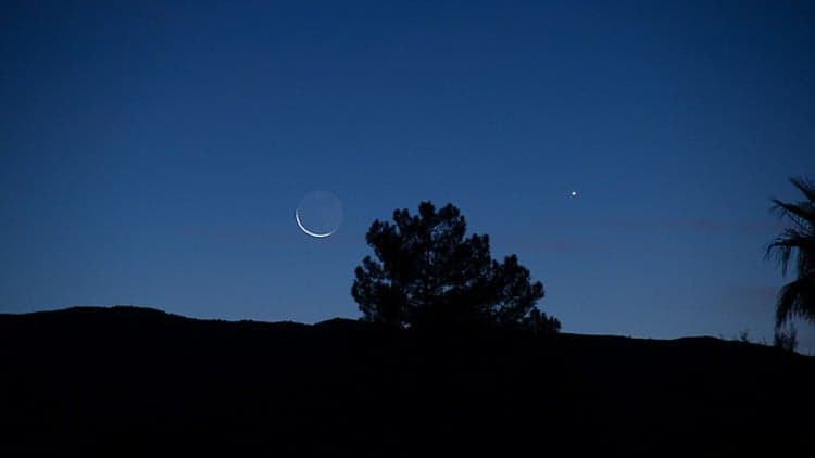 What's Your Moon Sign?