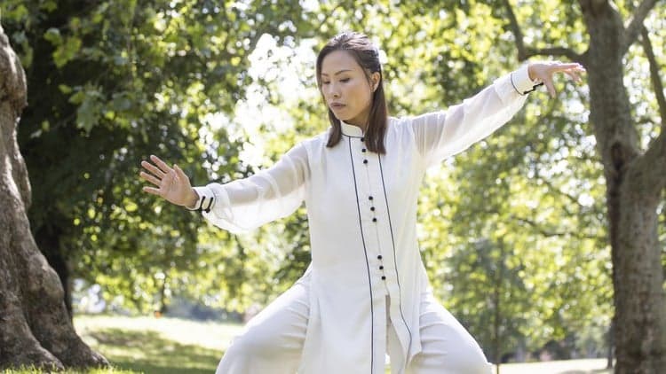 Tai Chi Qigong Shibashi Set 1 (Tutorial and follow along)